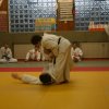 Judolehrgang Bodentechniken / SV / Treechallenge