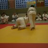 Judolehrgang Bodentechniken / SV / Treechallenge