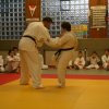 Judolehrgang Bodentechniken / SV / Treechallenge