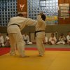 Judolehrgang Bodentechniken / SV / Treechallenge