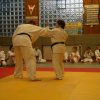 Judolehrgang Bodentechniken / SV / Treechallenge