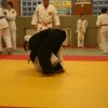 Judolehrgang Bodentechniken / SV / Treechallenge