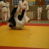 Judolehrgang Bodentechniken / SV / Treechallenge