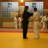 Judolehrgang Bodentechniken / SV / Treechallenge