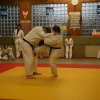 Judolehrgang Bodentechniken / SV / Treechallenge