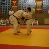 Judolehrgang Bodentechniken / SV / Treechallenge