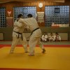 Judolehrgang Bodentechniken / SV / Treechallenge