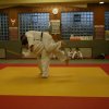 Judolehrgang Bodentechniken / SV / Treechallenge