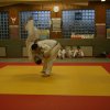 Judolehrgang Bodentechniken / SV / Treechallenge