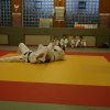 Judolehrgang Bodentechniken / SV / Treechallenge