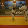 Judolehrgang Bodentechniken / SV / Treechallenge