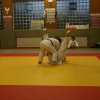 Judolehrgang Bodentechniken / SV / Treechallenge