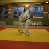 Judolehrgang Bodentechniken / SV / Treechallenge