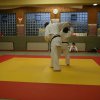 Judolehrgang Bodentechniken / SV / Treechallenge