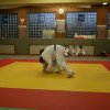 Judolehrgang Bodentechniken / SV / Treechallenge