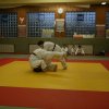 Judolehrgang Bodentechniken / SV / Treechallenge