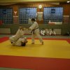 Judolehrgang Bodentechniken / SV / Treechallenge