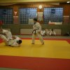 Judolehrgang Bodentechniken / SV / Treechallenge