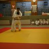 Judolehrgang Bodentechniken / SV / Treechallenge