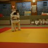 Judolehrgang Bodentechniken / SV / Treechallenge