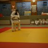 Judolehrgang Bodentechniken / SV / Treechallenge