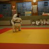 Judolehrgang Bodentechniken / SV / Treechallenge