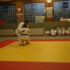 Judolehrgang Bodentechniken / SV / Treechallenge