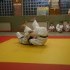 Judolehrgang Bodentechniken / SV / Treechallenge