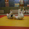 Judolehrgang Bodentechniken / SV / Treechallenge