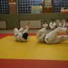 Judolehrgang Bodentechniken / SV / Treechallenge