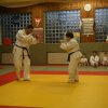 Judolehrgang Bodentechniken / SV / Treechallenge