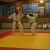 Judolehrgang Bodentechniken / SV / Treechallenge