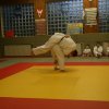 Judolehrgang Bodentechniken / SV / Treechallenge