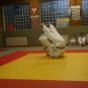 Judolehrgang Bodentechniken / SV / Treechallenge