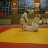 Judolehrgang Bodentechniken / SV / Treechallenge