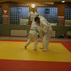 Judolehrgang Bodentechniken / SV / Treechallenge