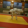 Judolehrgang Bodentechniken / SV / Treechallenge